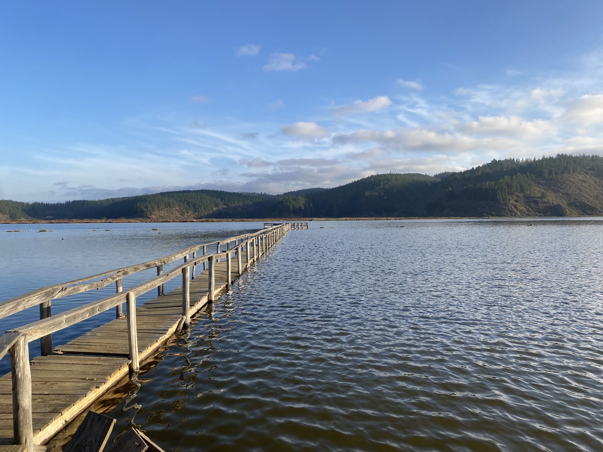 Muelle en laguna